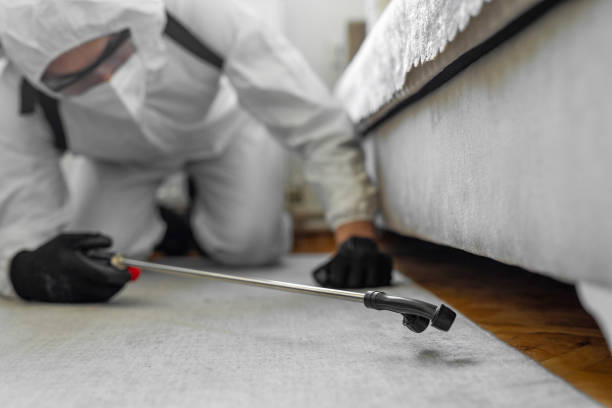 Professional Bed Bug Control technician working in Aurora, NE